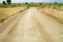 Camino Albat�rrec