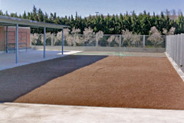 Colegio de Llardecans