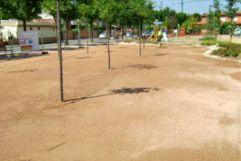 Plaza Vila Montcada