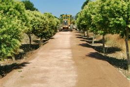 Caminos en Albat�rrec